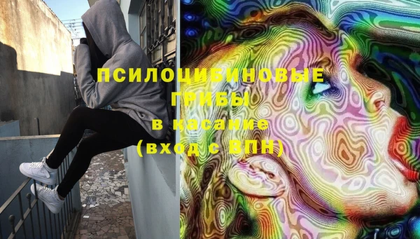 не бодяженный Белокуриха